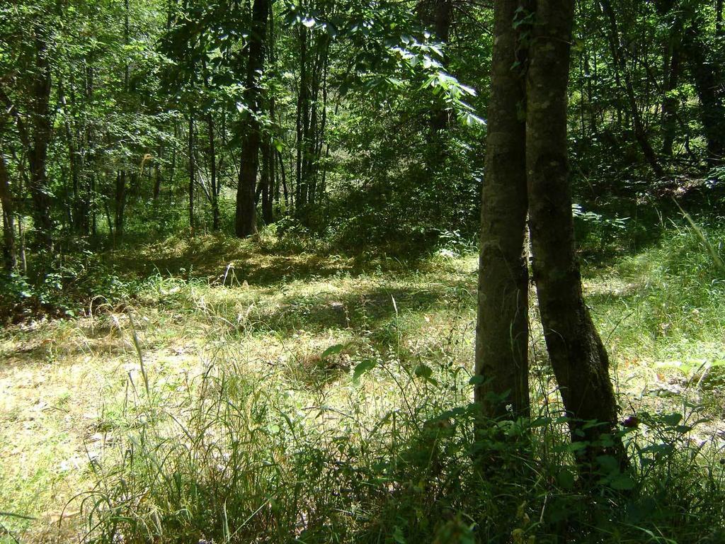 Camping Le P'Tit Bonheur Escaro Exterior foto